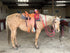 YOUR HAND-MADE CUSTOM SADDLE